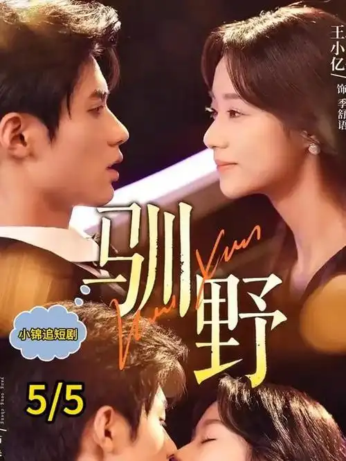 玫瑰的故事 tv 2025 汪俊